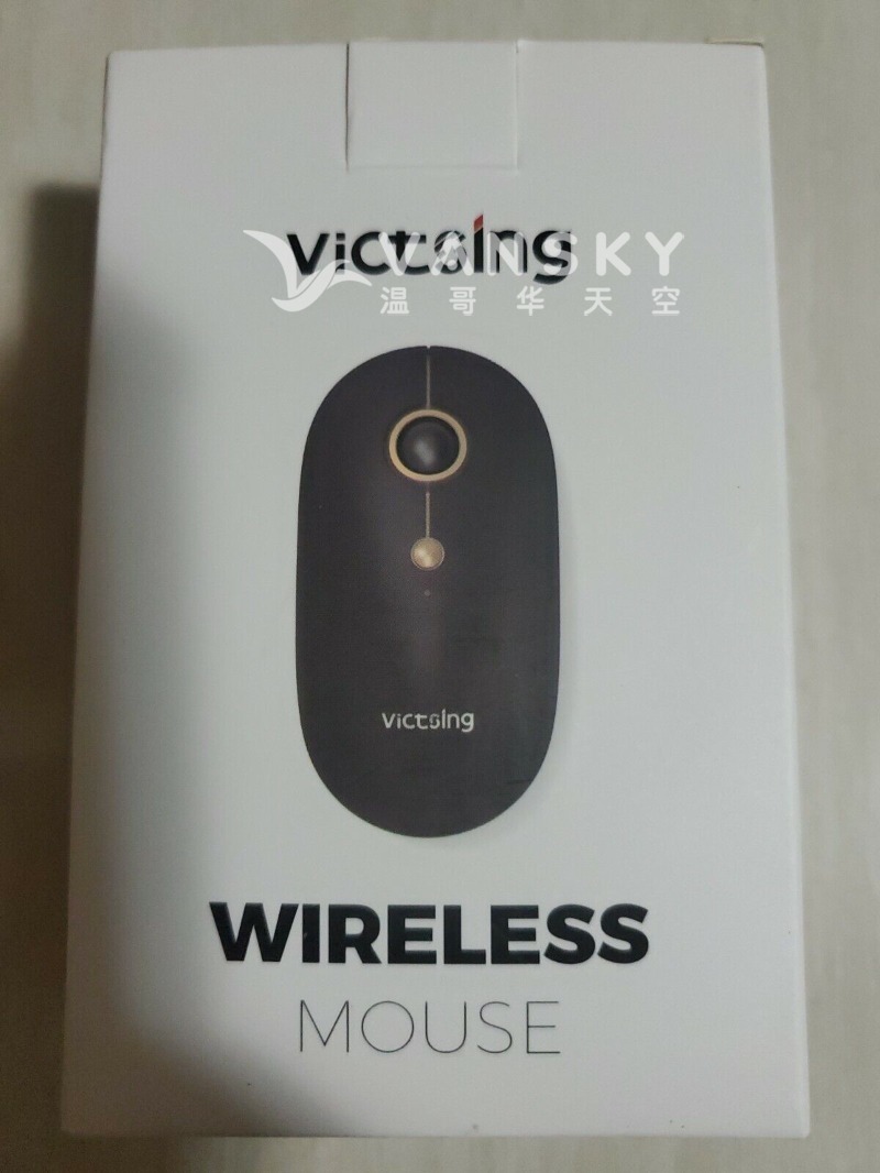 240417112115_Victsing Mouse box.jpg